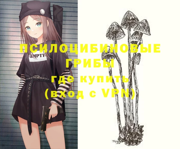 альфа пвп Армянск